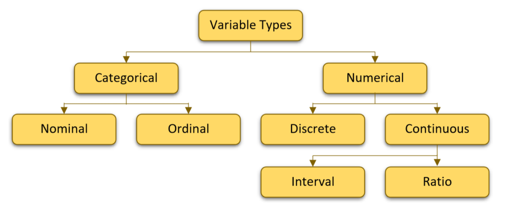 Types of Variables